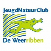 beeldmerk en logo ontwerp voor vlaggen, spandoeken en social media