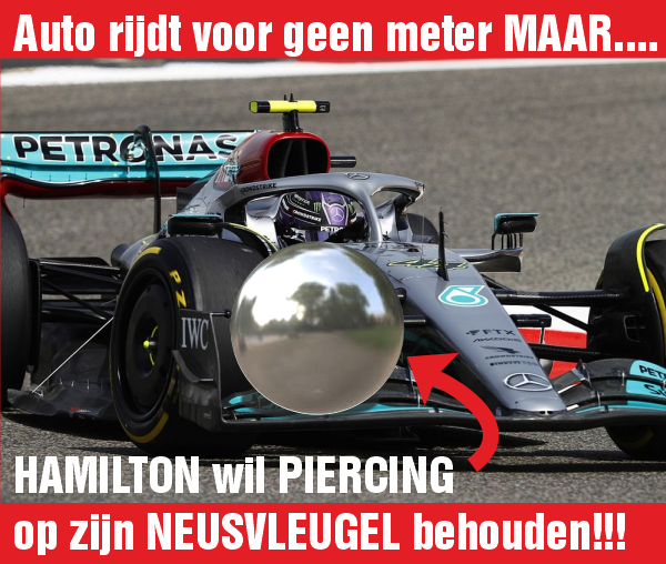 neusvleugelpiercing